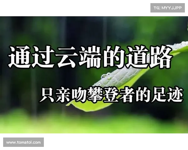 苍穹下的征途:翱翔于指尖的云端 苍穹下的征途:翱翔于指尖的云端