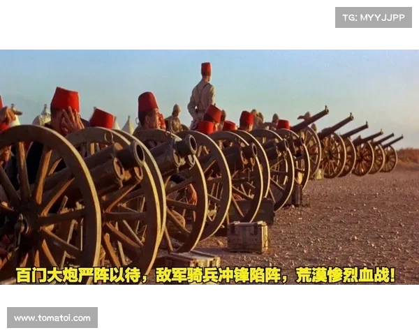 陷阵突围:坚守危城之艰途 陷阵突围:坚守危城之艰途